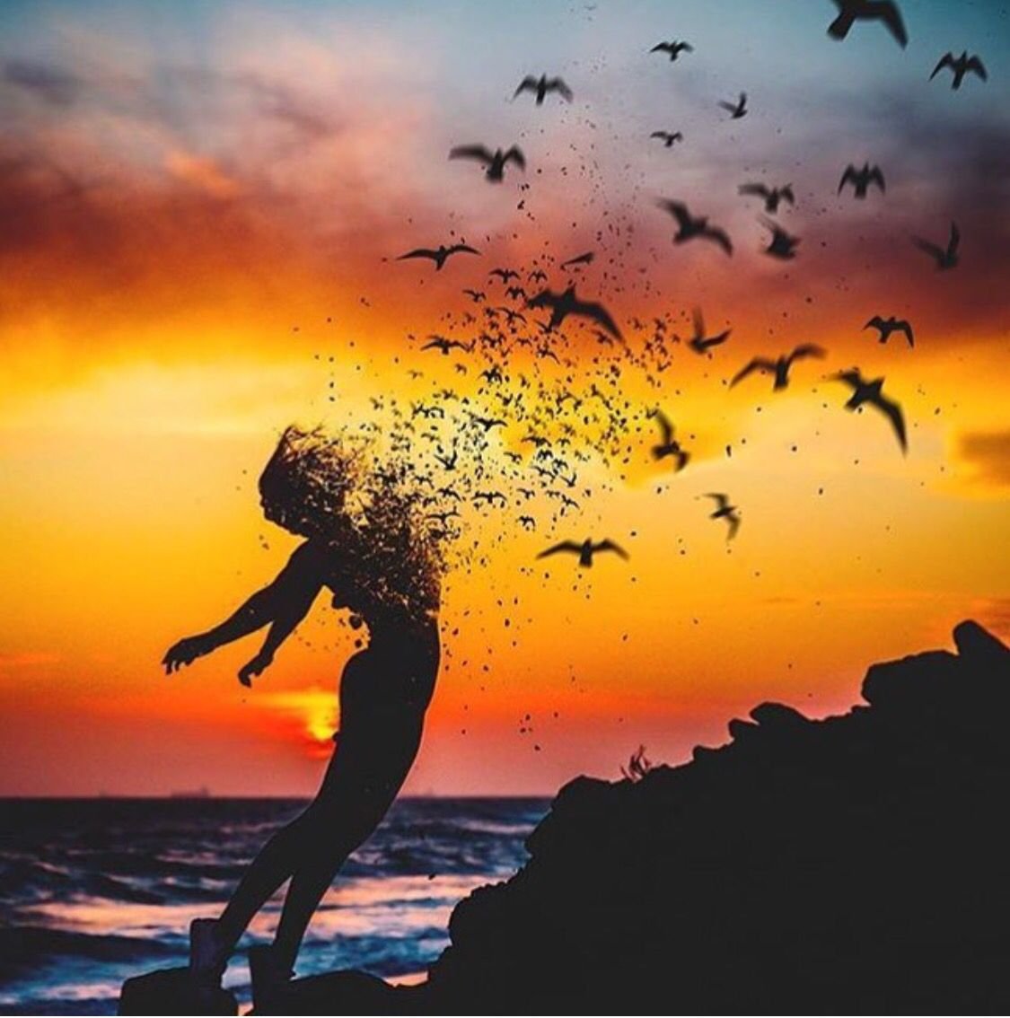 Свобода счастье