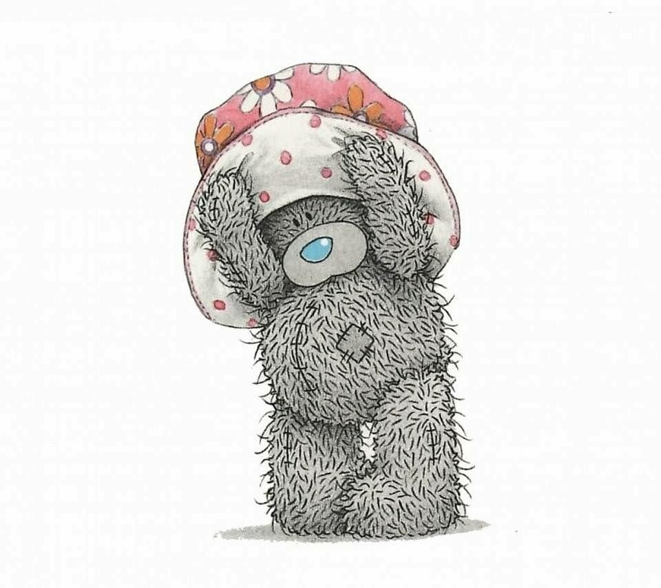 Фотографии мишки Тедди