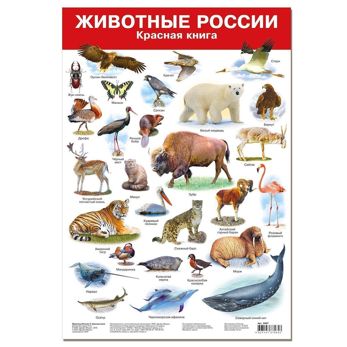 Животные занесенные в красную книгу России