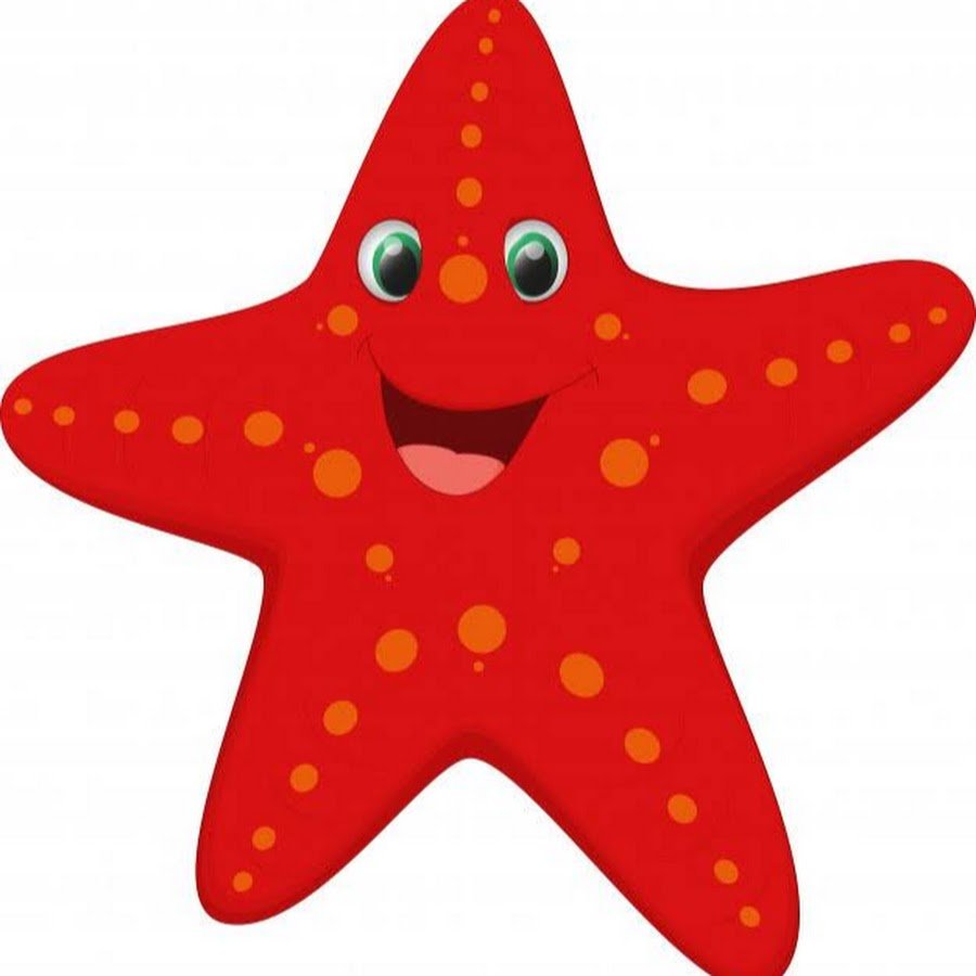 Детям о морской звезде в детском саду