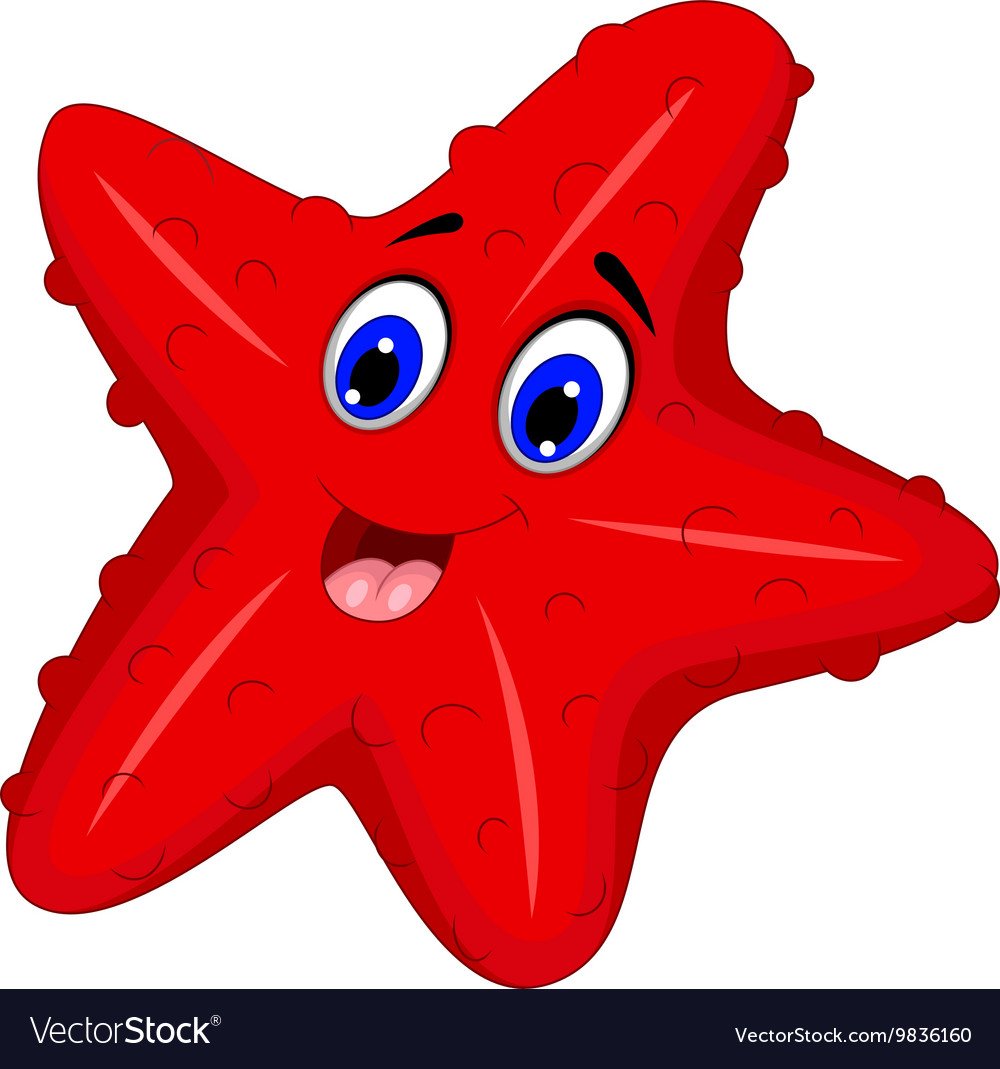 Веселая морская звезда