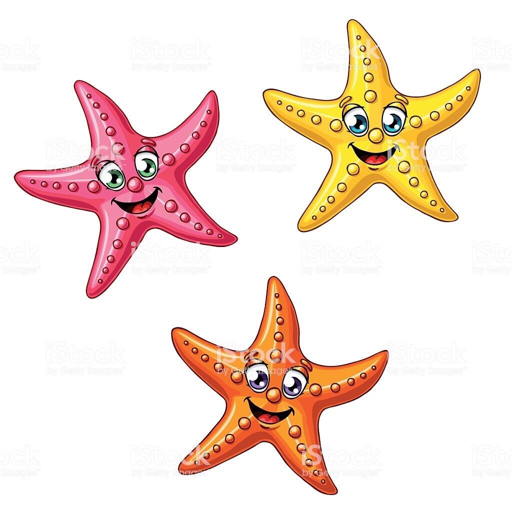 Разноцветные морские звездочки