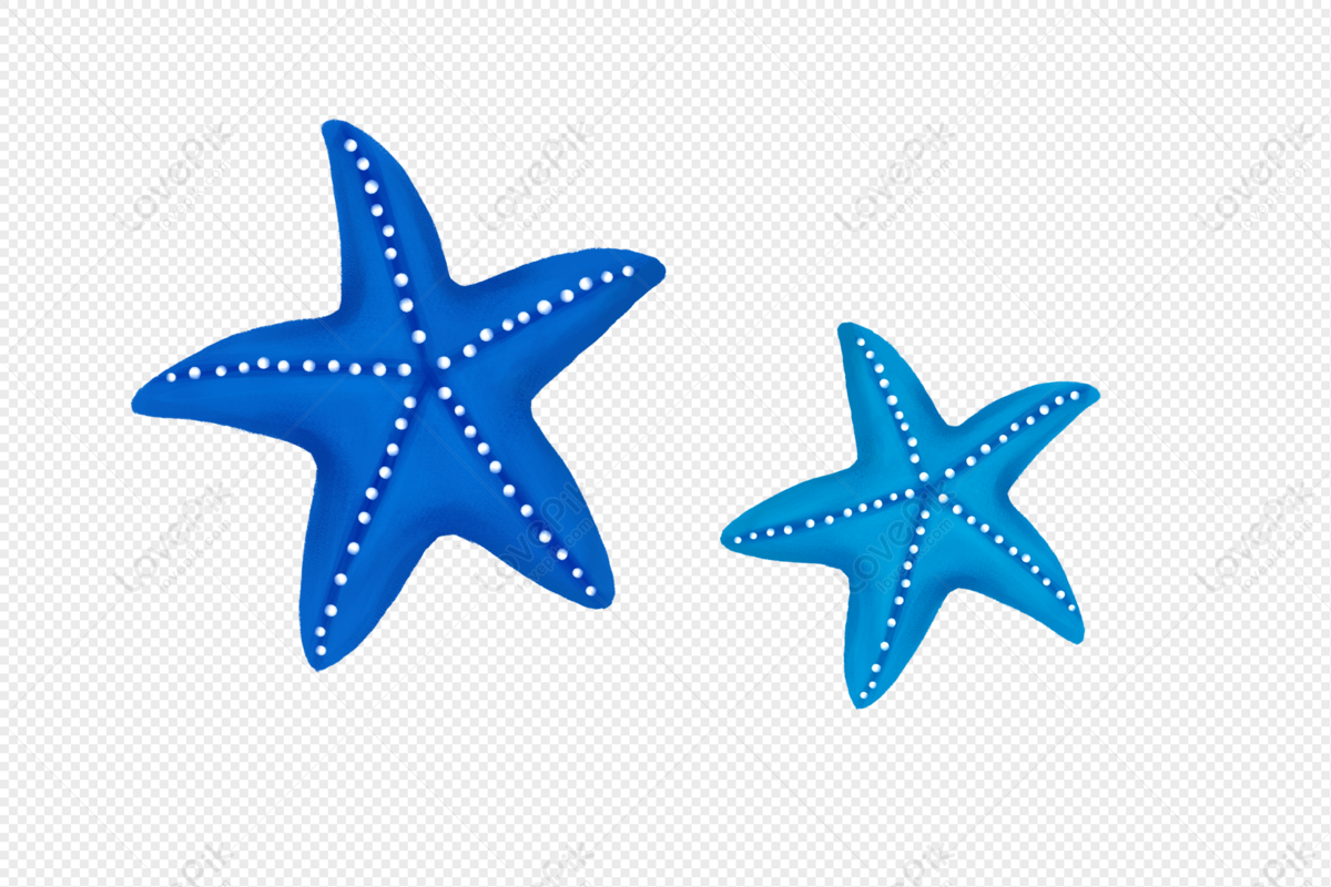 Морская звезда мультяшная