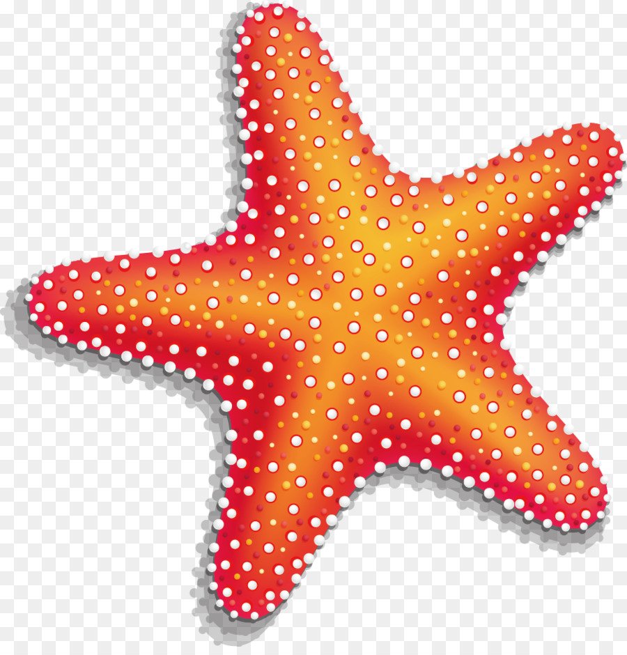 Ариель Русалочка морская звезда