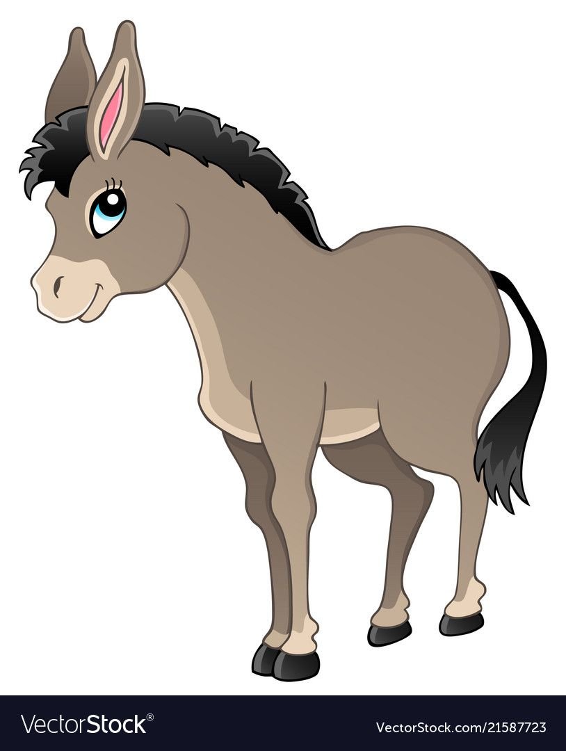 Ослик ослик Дювуазен