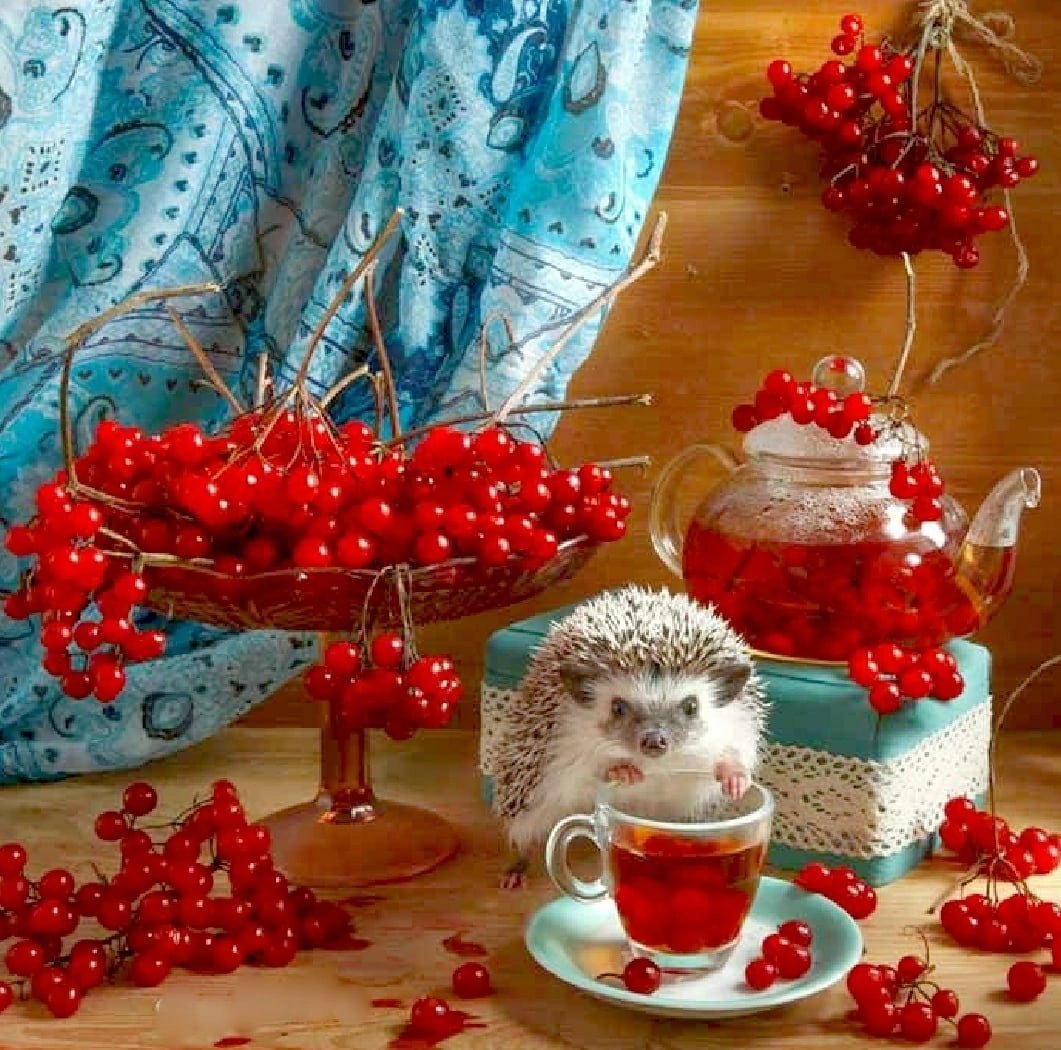 Елена Ерёмина Ёжики 2019