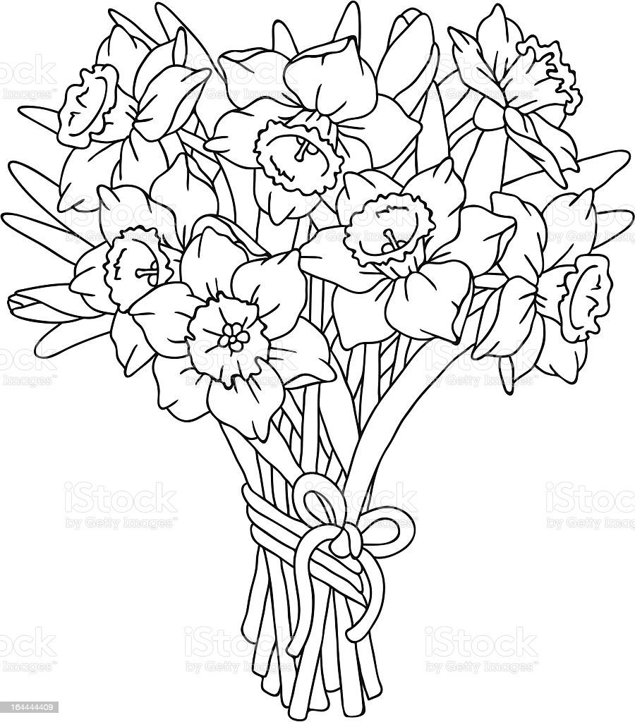 Букет тюльпанов