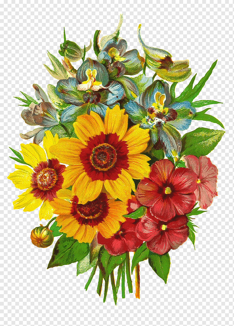 Яркие цветы на прозрачном фоне