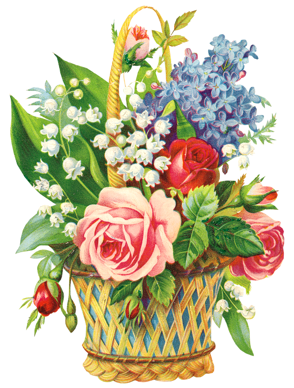 Осенние цветы для детей