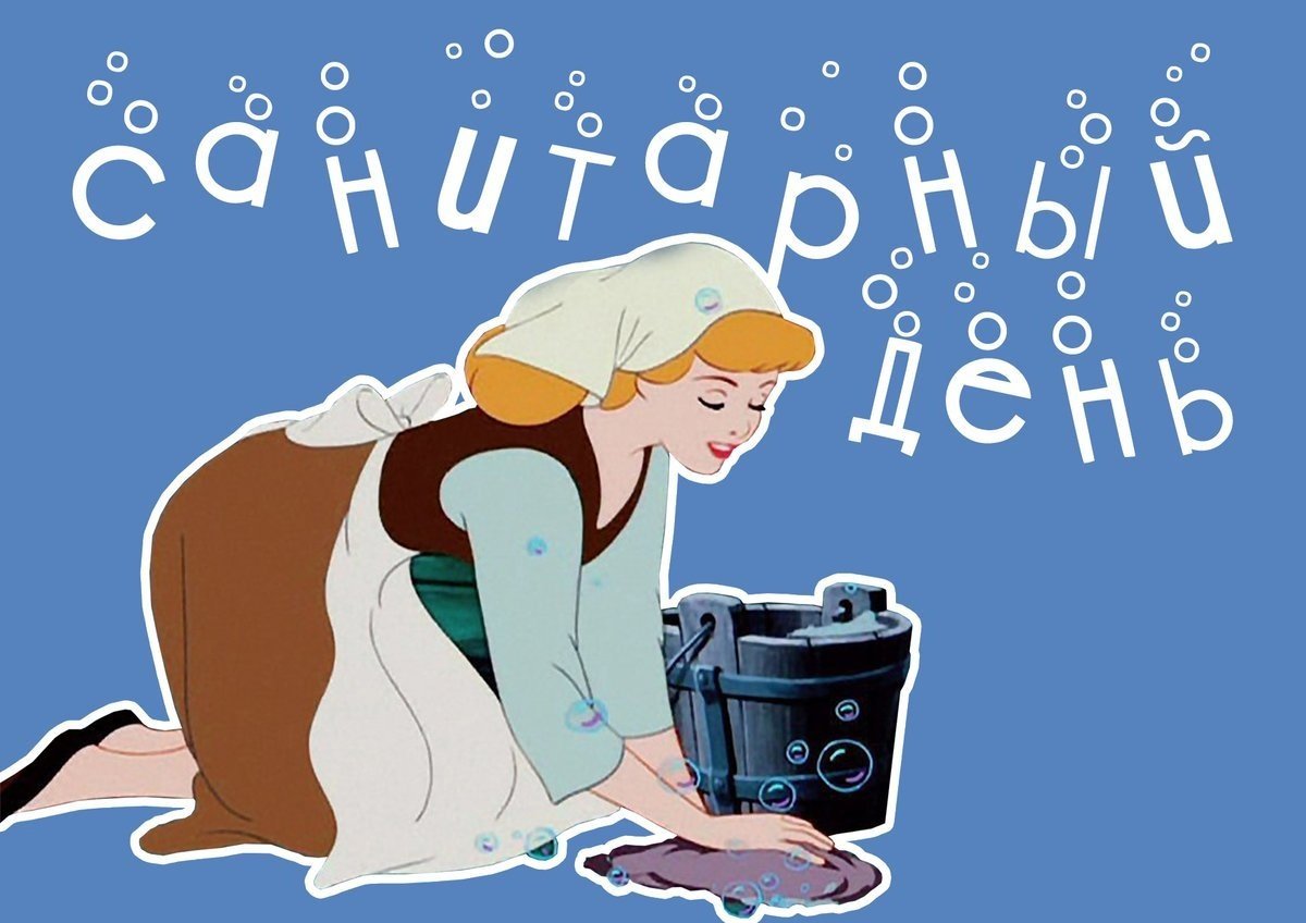 Санитарный день