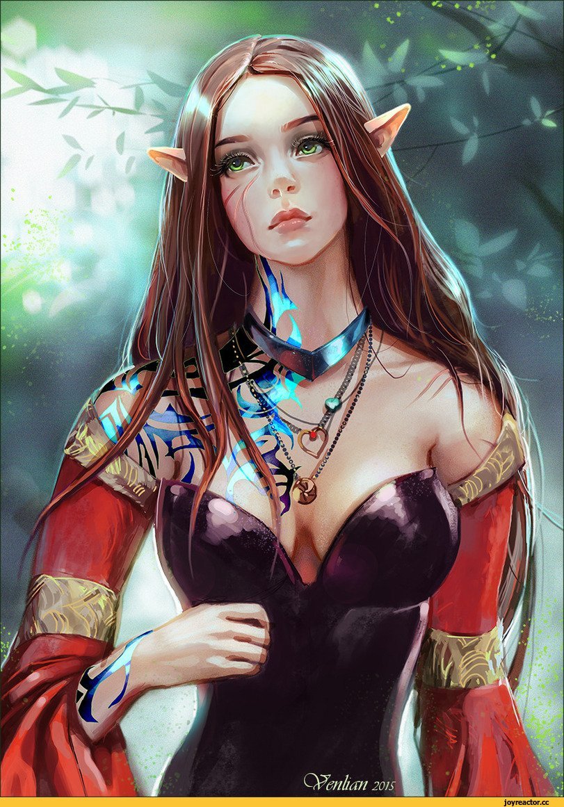 Эльфийка Чародейка воительница