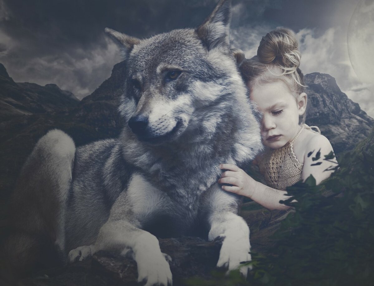 Маленькая девочка и волк