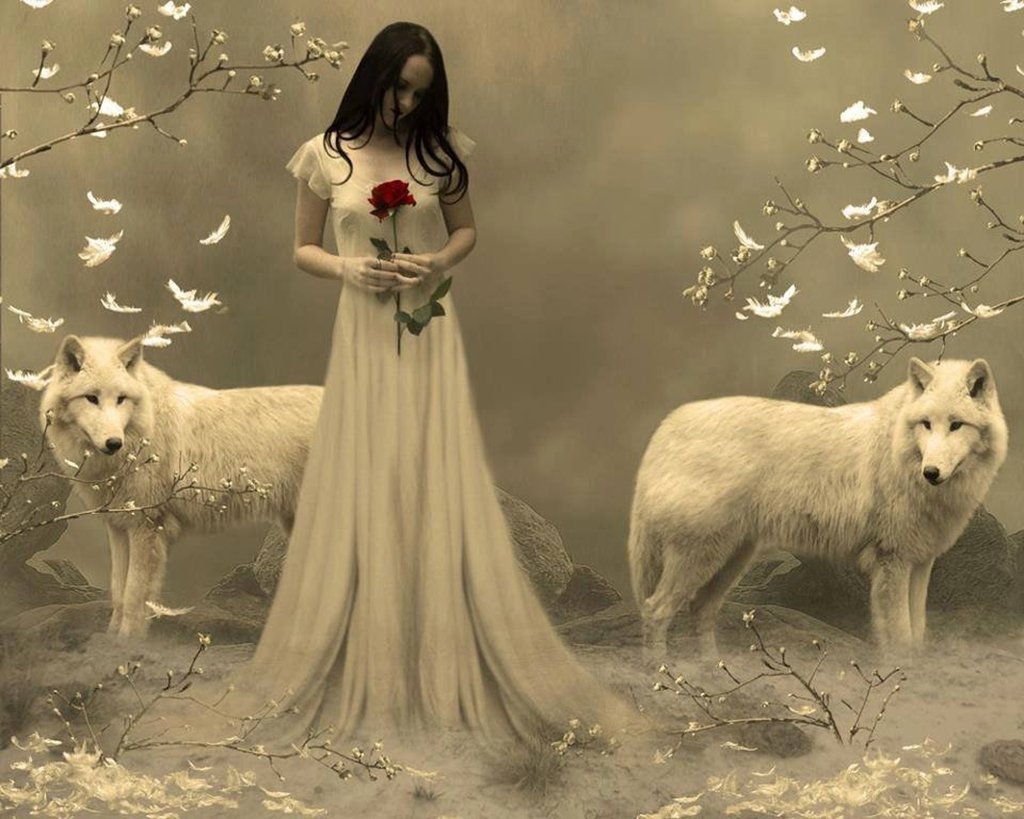 Белый волк и девушка