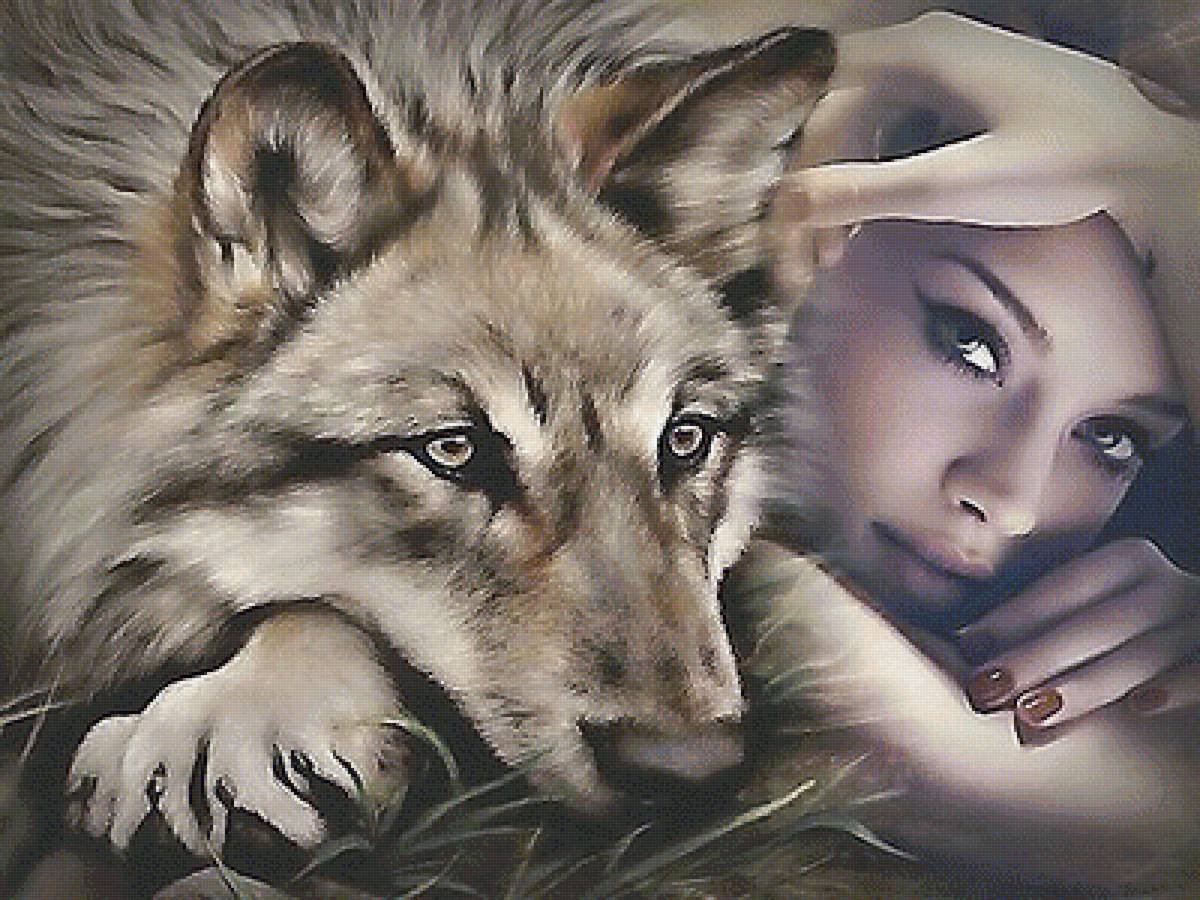 Красивые статусы с волками