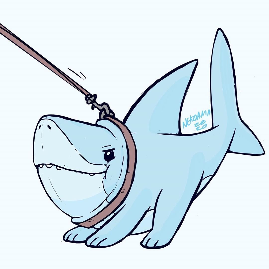 Акула поглощает человека