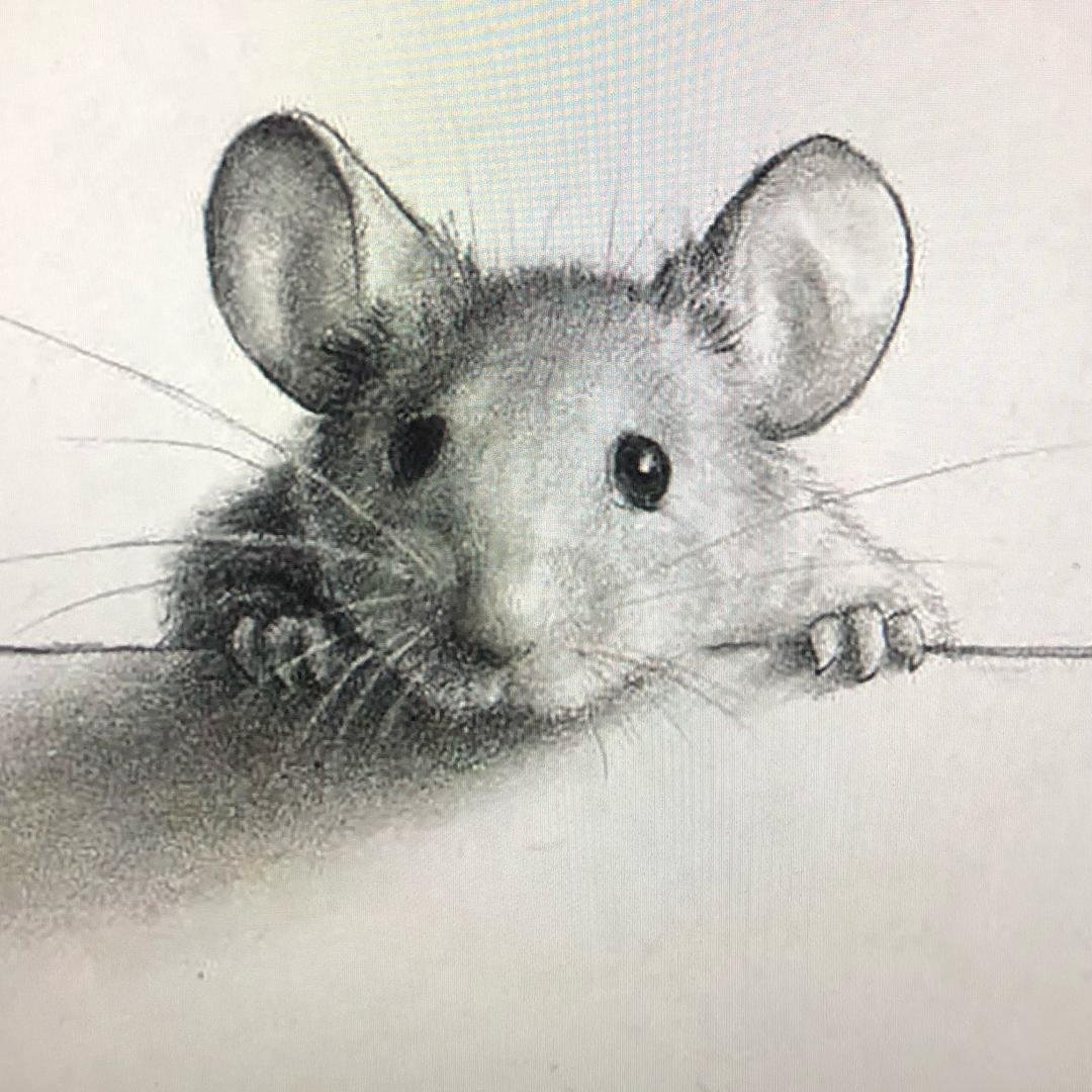 Мышка карандашом