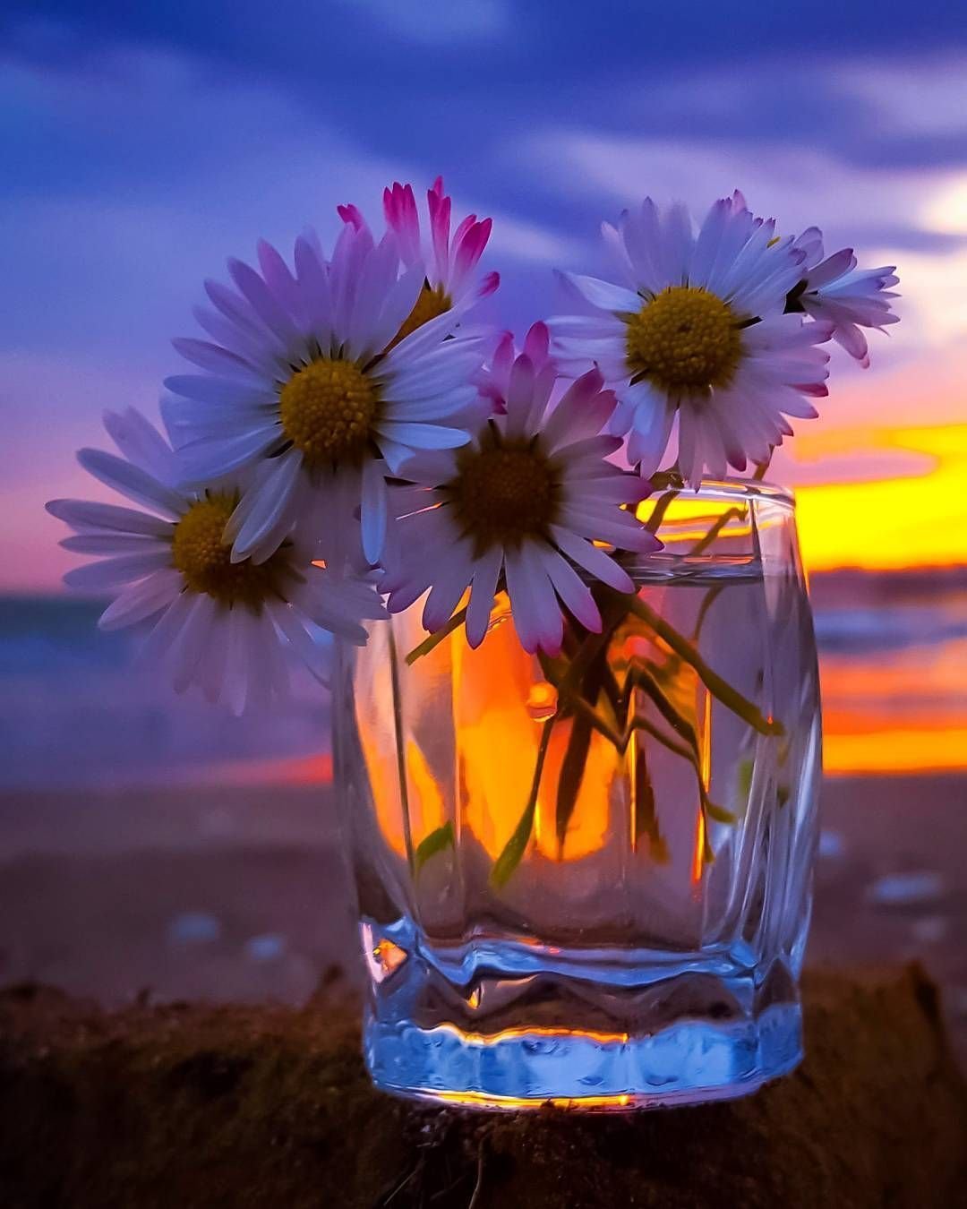 Чудесного вечера