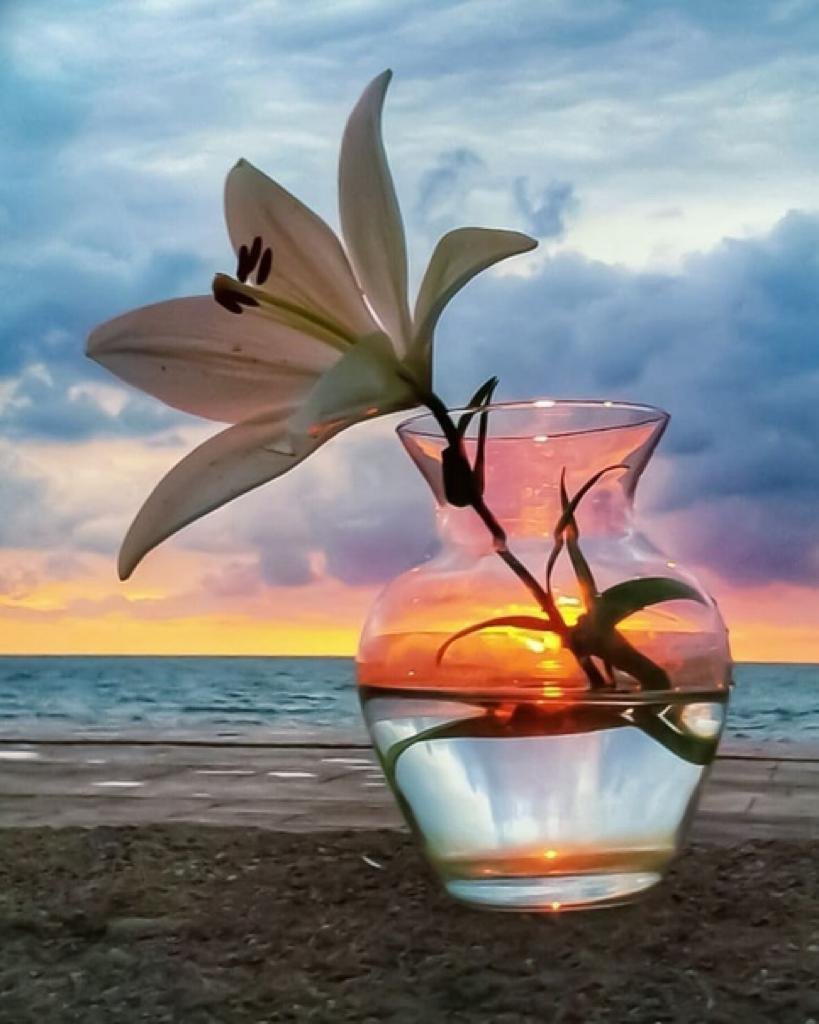 Открытки с пожеланием доброго вечера