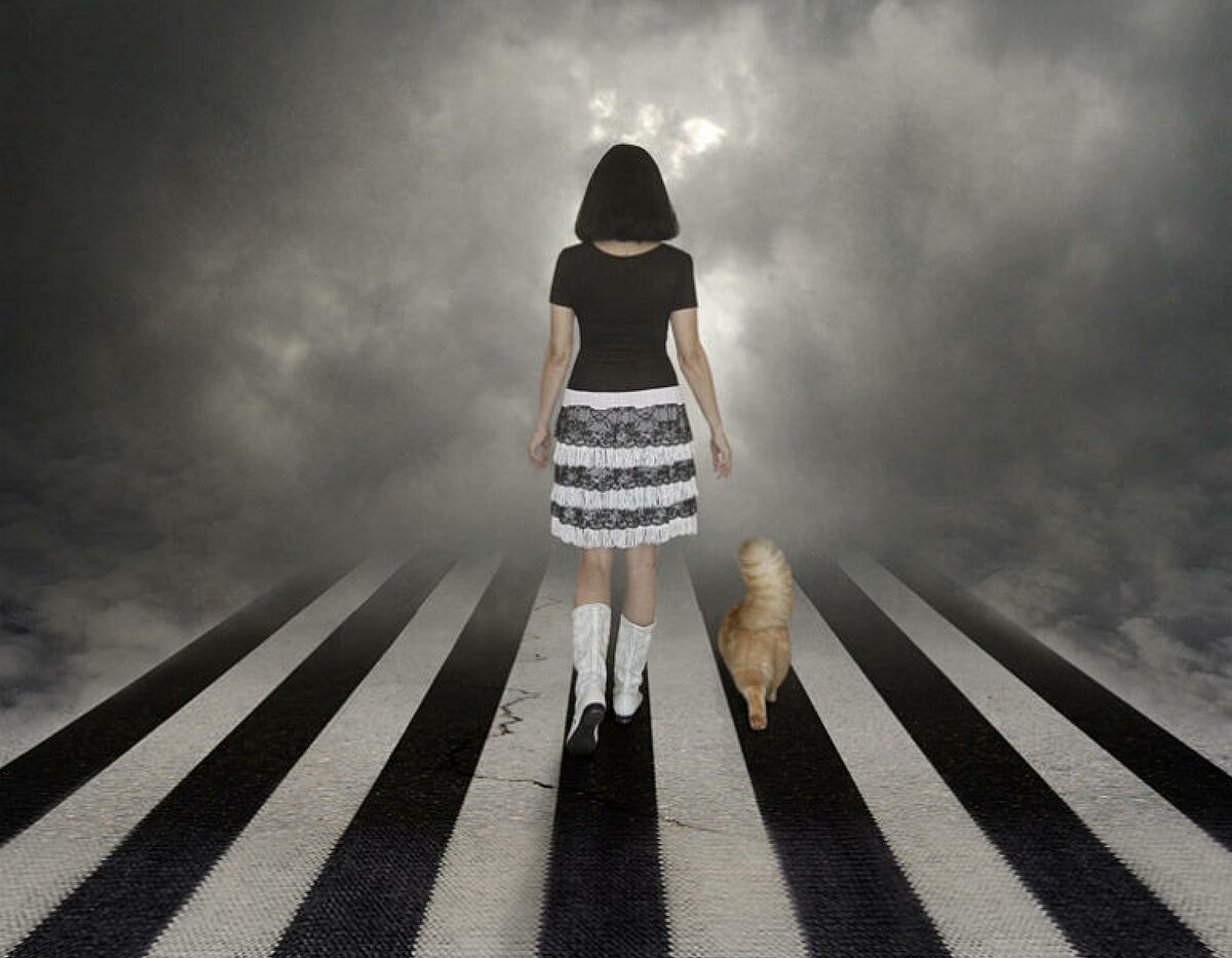 Чёрная полоса в жизни