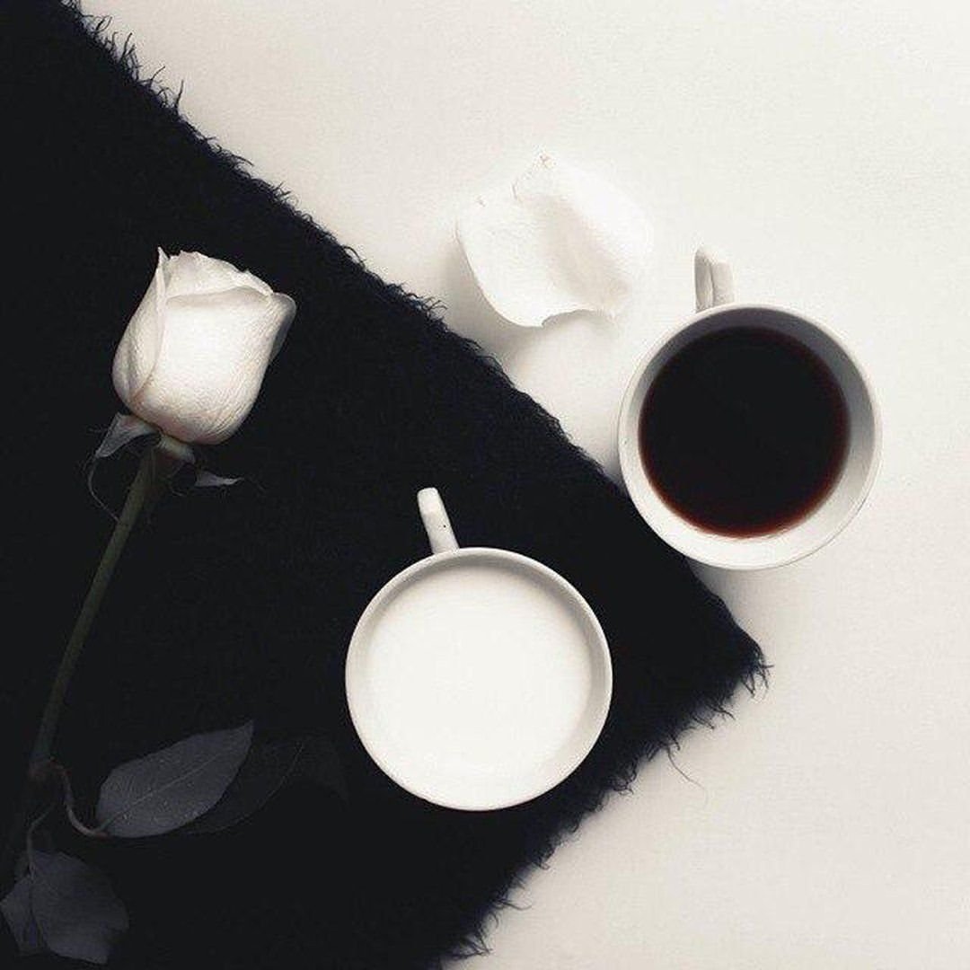 Зебра с разноцветными полосками