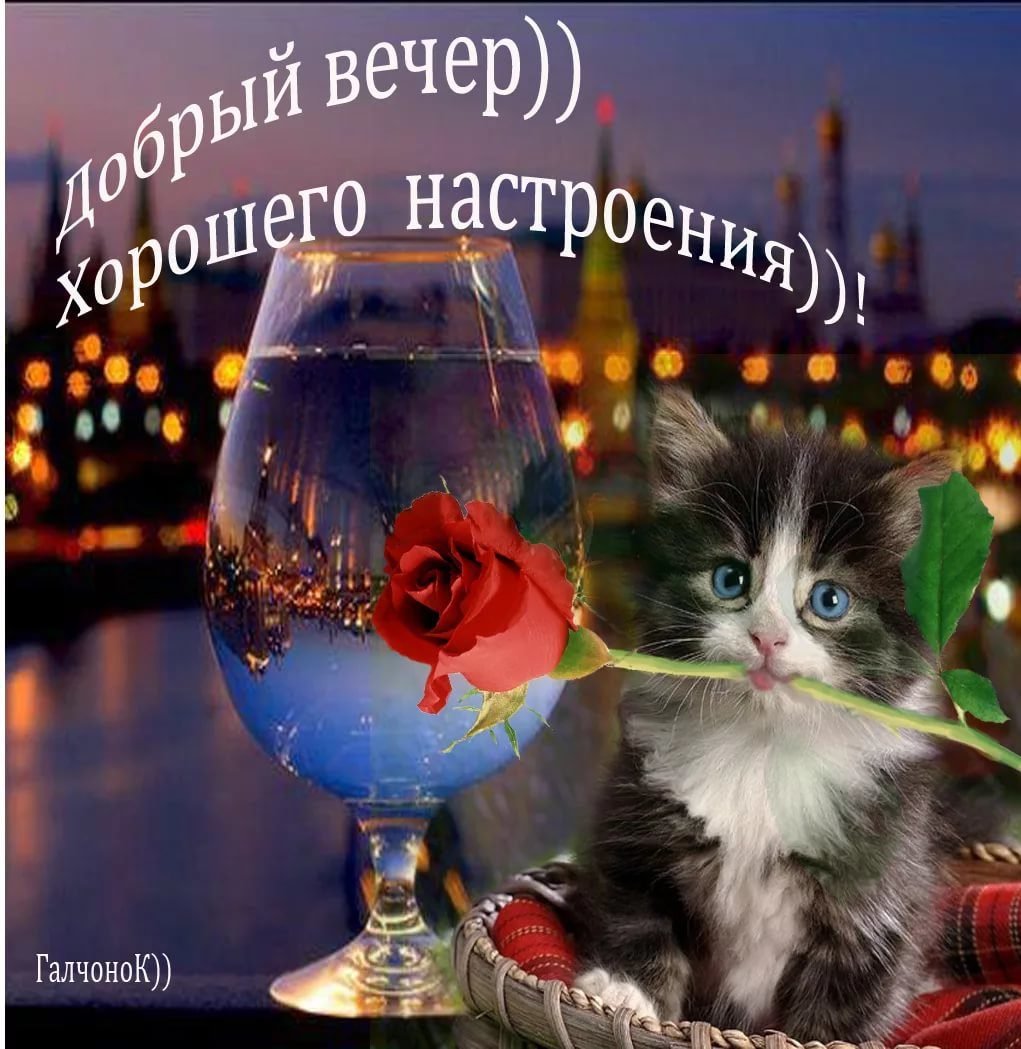 Зимнее настроение цитаты