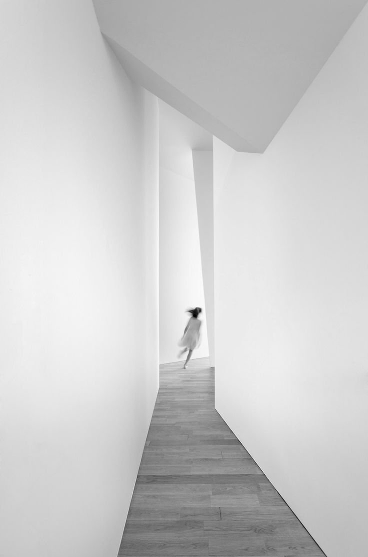 Зебра на дороге