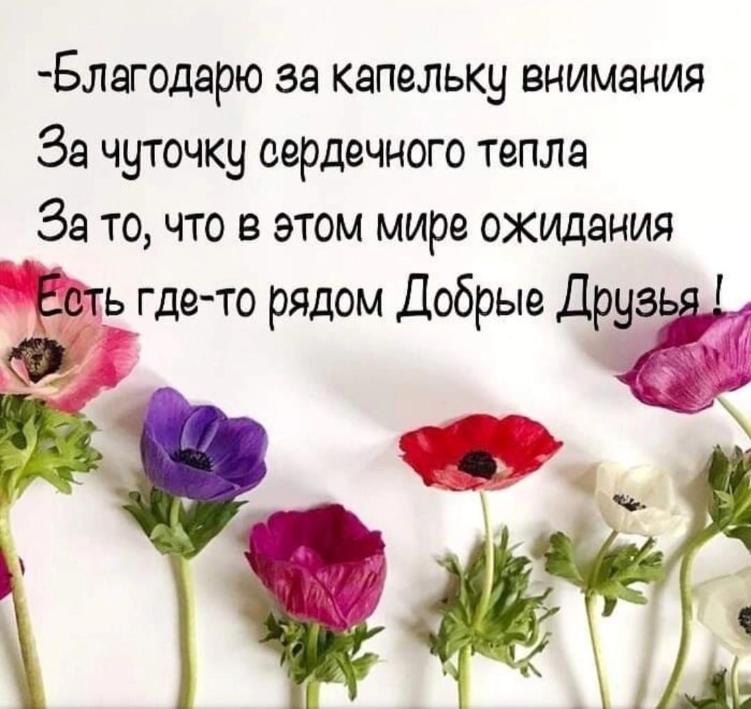 Красивые добрые высказывания