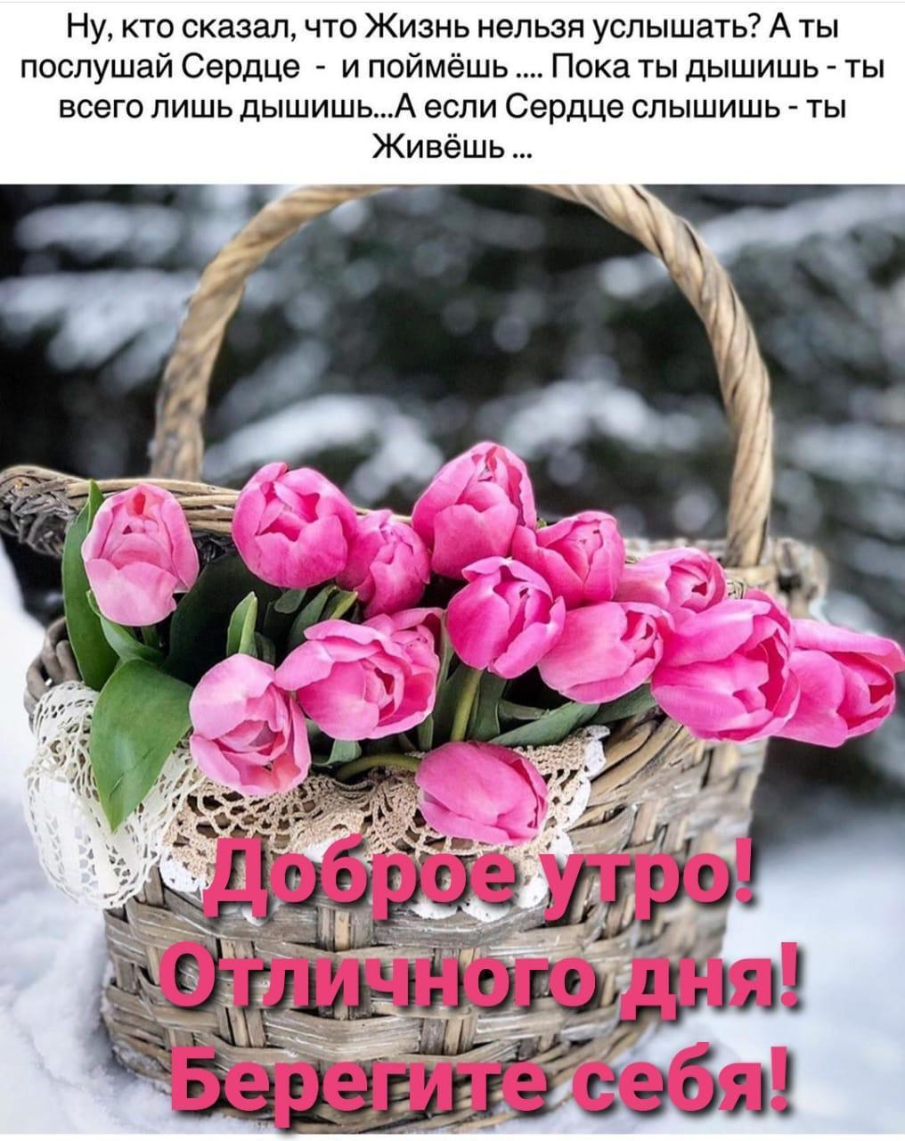 Хорошего дня хорошему человечку