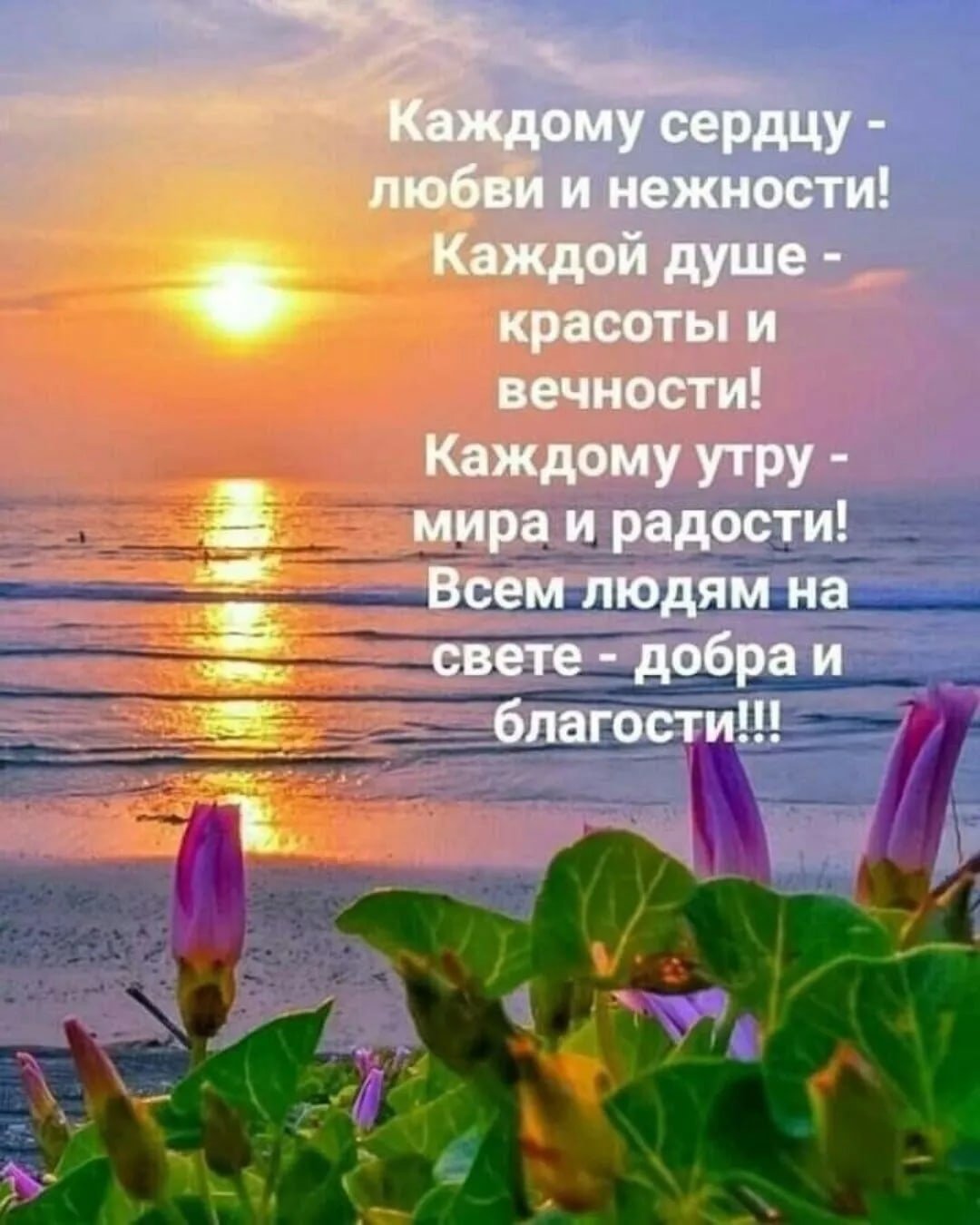 Пожелания душевного спокойствия и гармонии