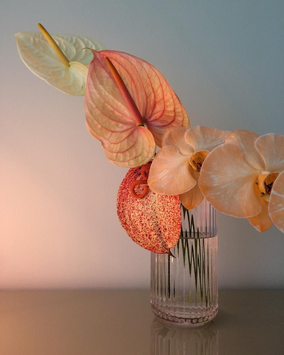 Пожелания душевного тепла спокойствия