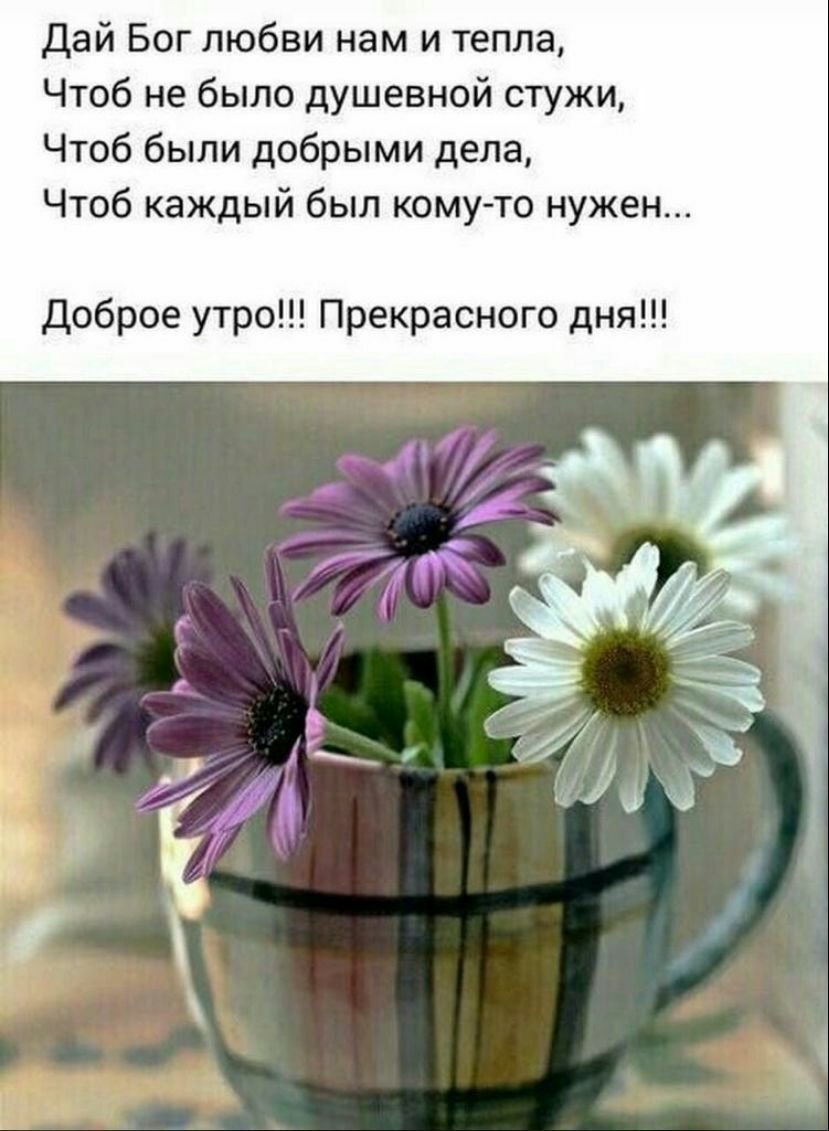 Душевные пожелания с добрым утром