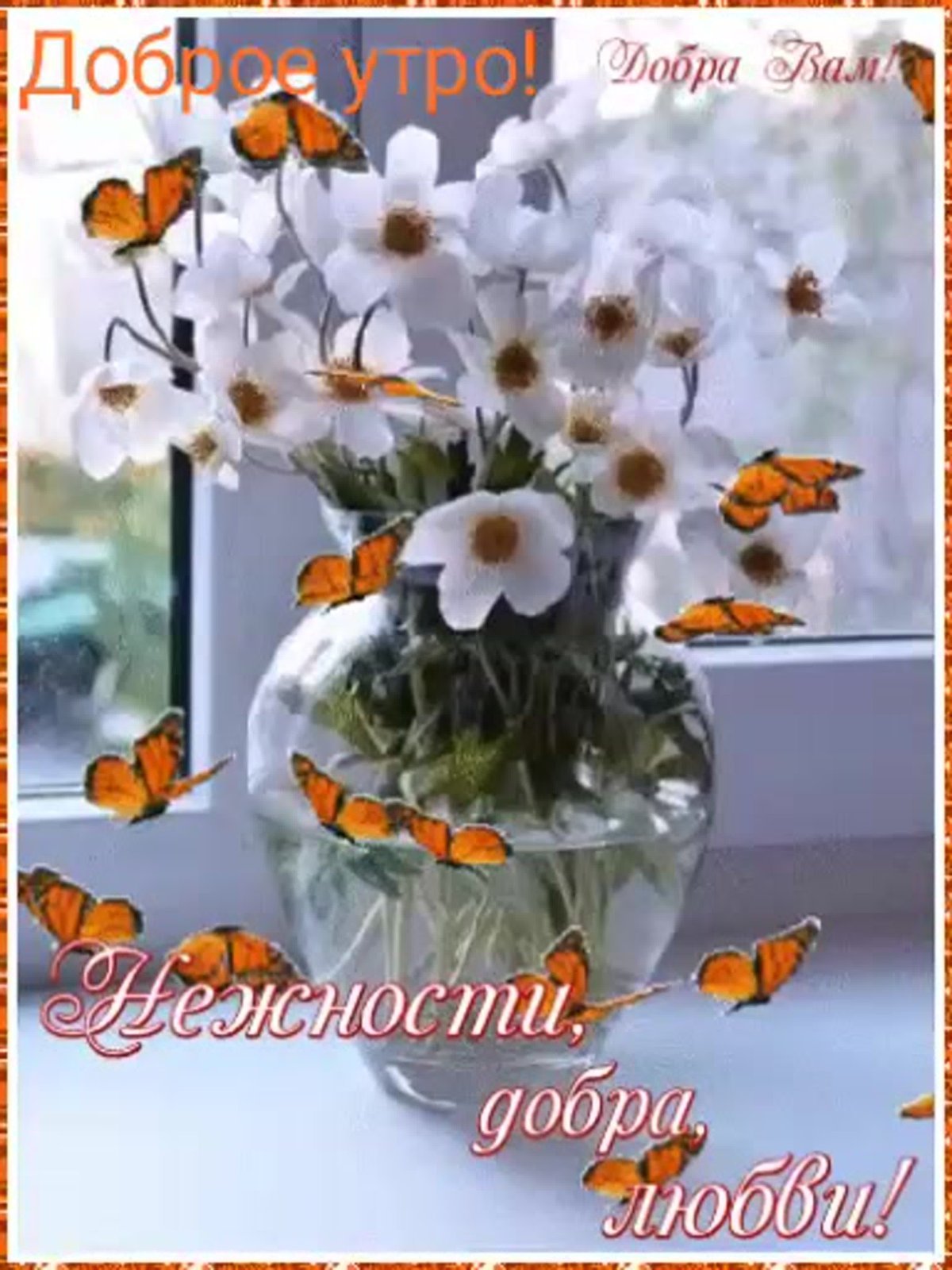 Теплого и доброго вам дня