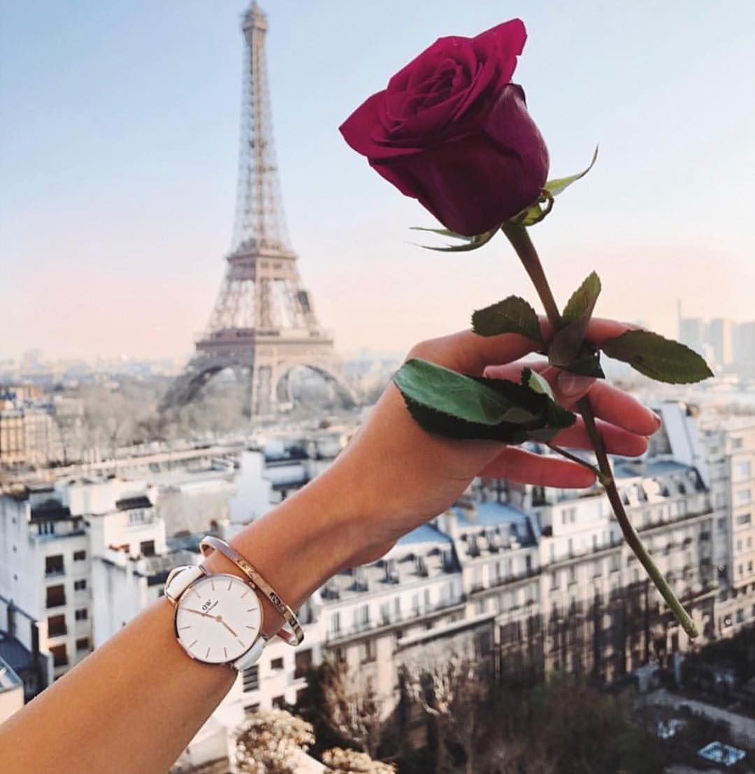 Цветы на фоне Эйфелевой башни