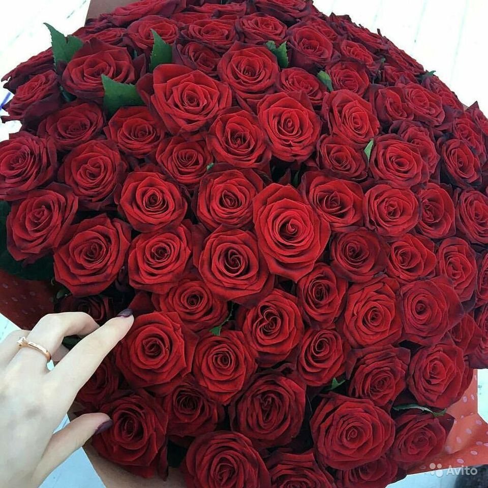 Букет красных роз в руках