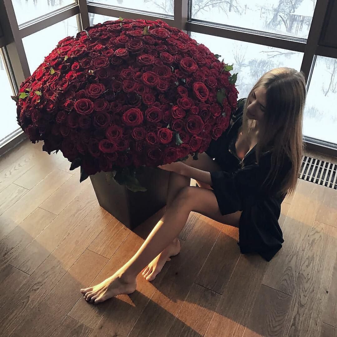 Розы фото Инстаграм