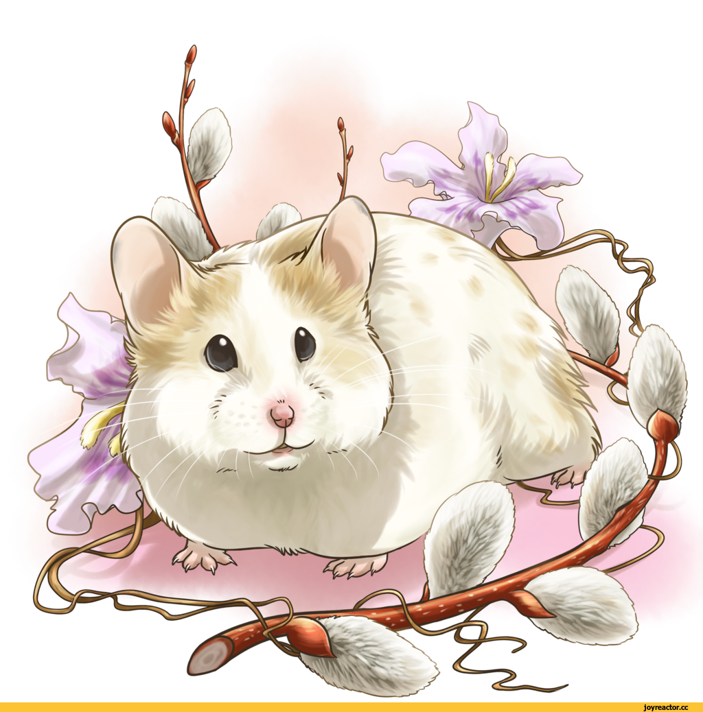 Хомячок арт