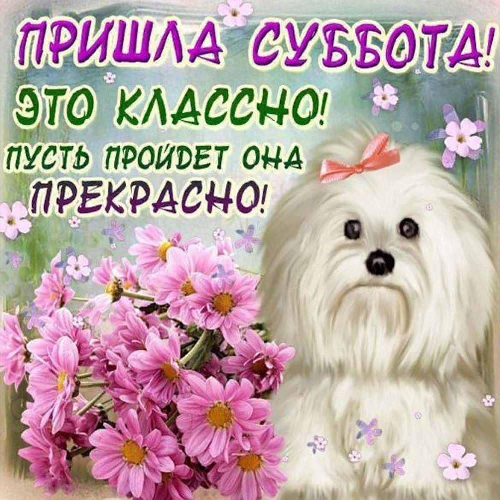 Открытки поздравления с субботой