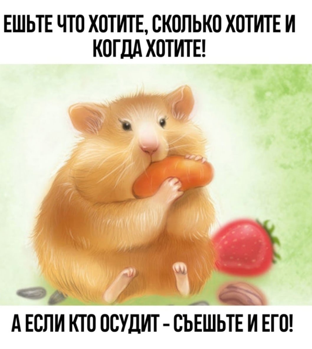 Толстый хомячок с толстыми щеками