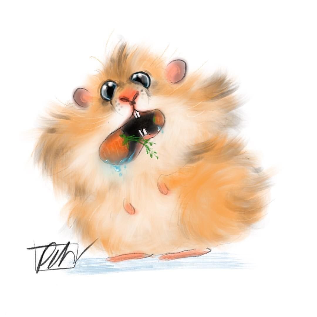 Хомяк джунгарский маленький