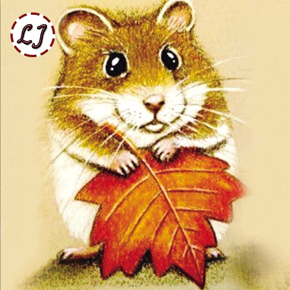 Морская Свинка Джиппи