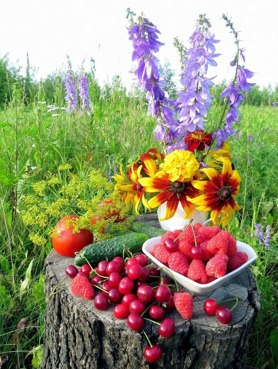 Август на даче