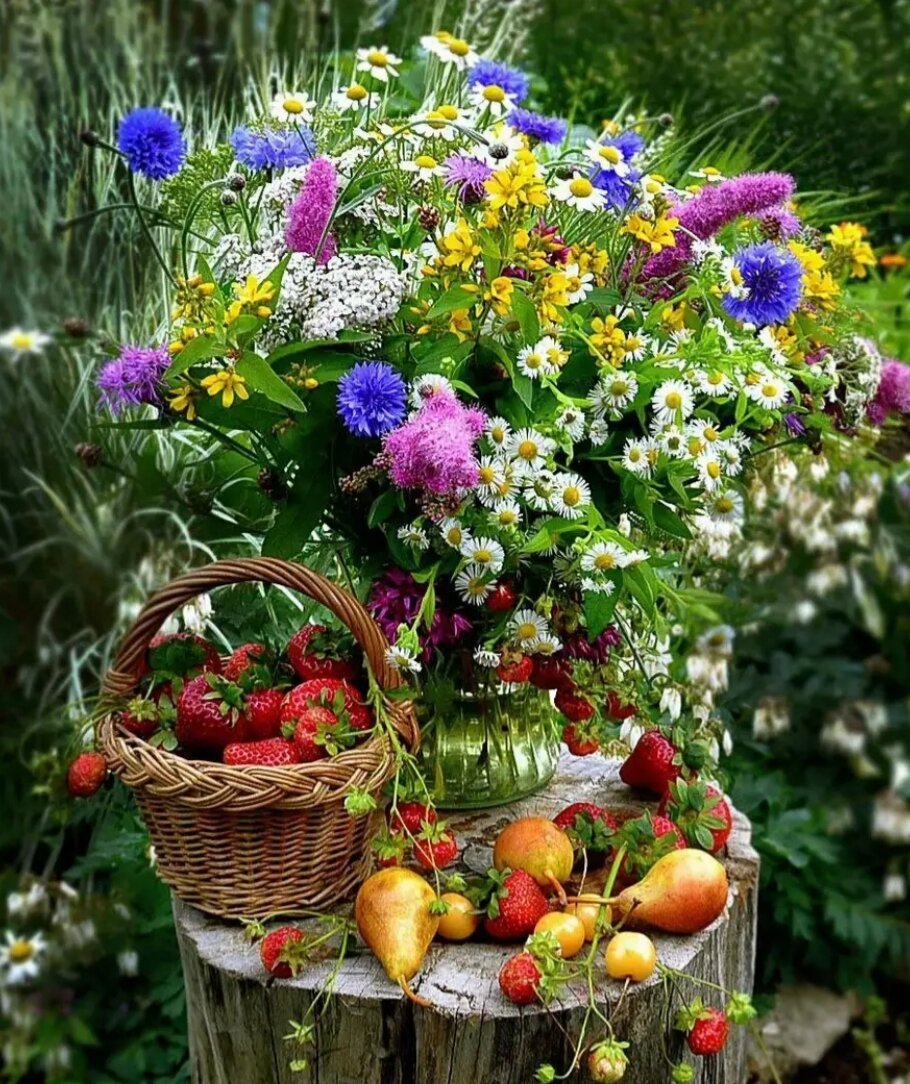 Здравствуй, август величавый! Здравствуй, барин-господин!