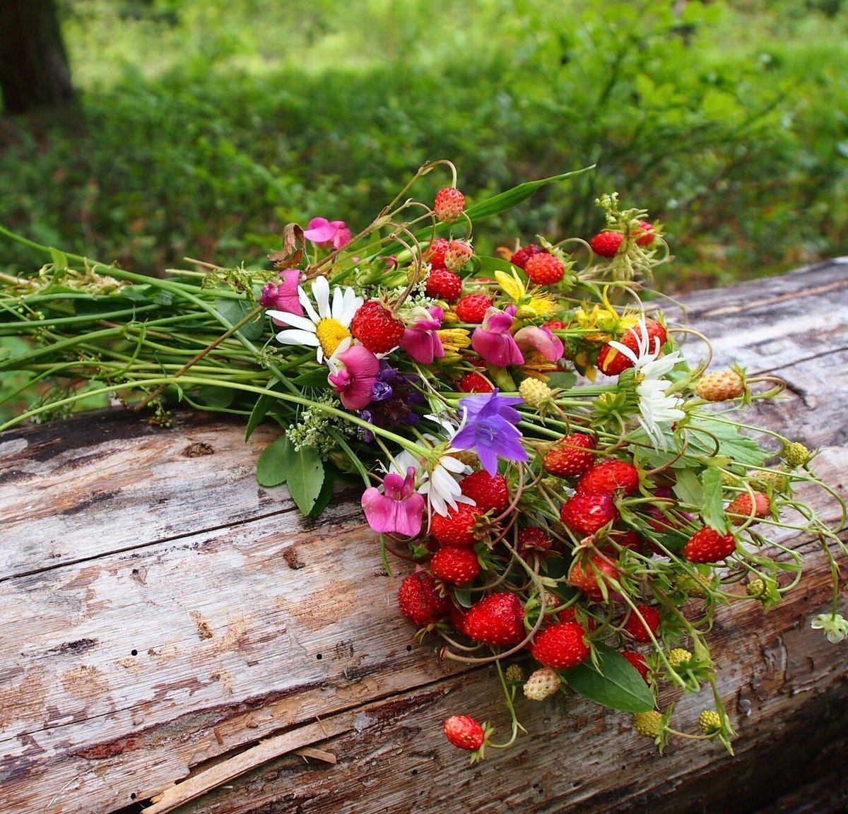«Чем пахнет лето?» Л Шмидт,