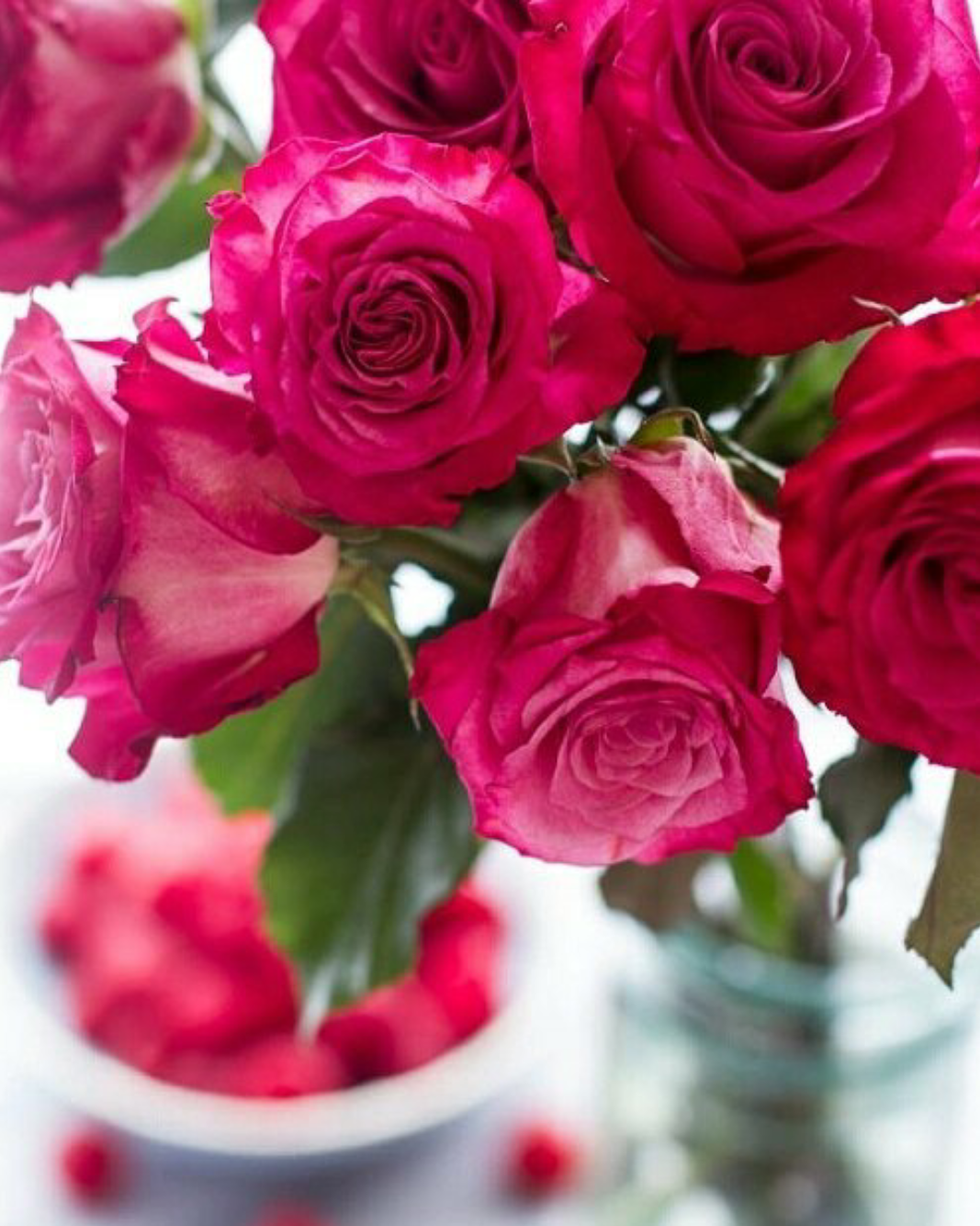 Ярко розовые цветы