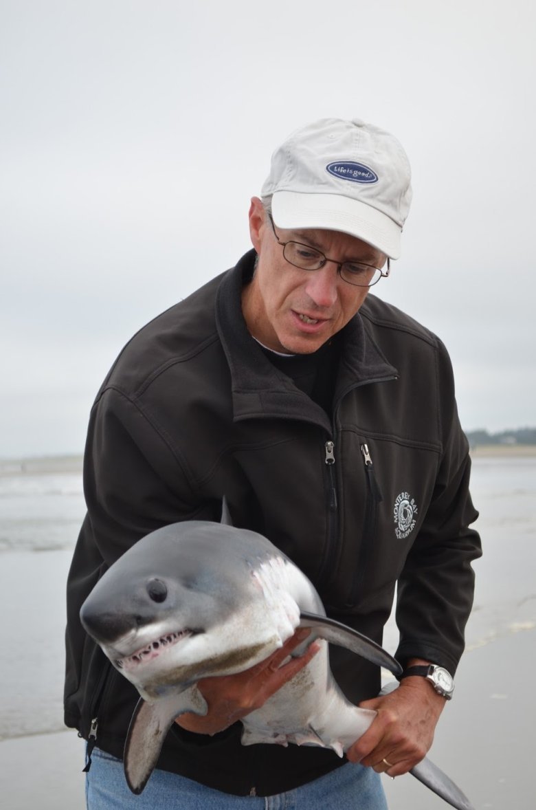 Акуленок бэби Шарк герои