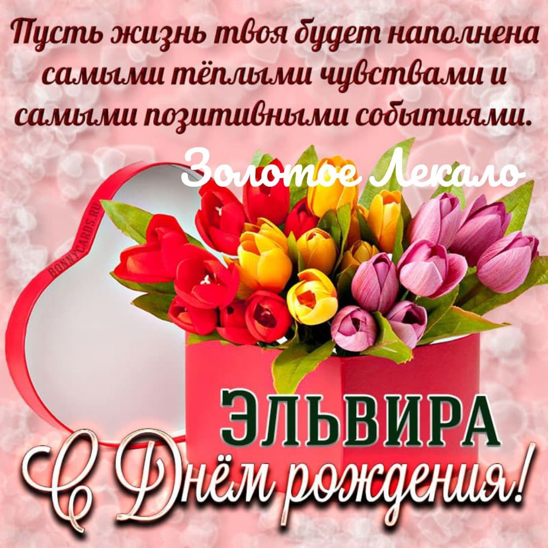 С днём рождения вас лиса