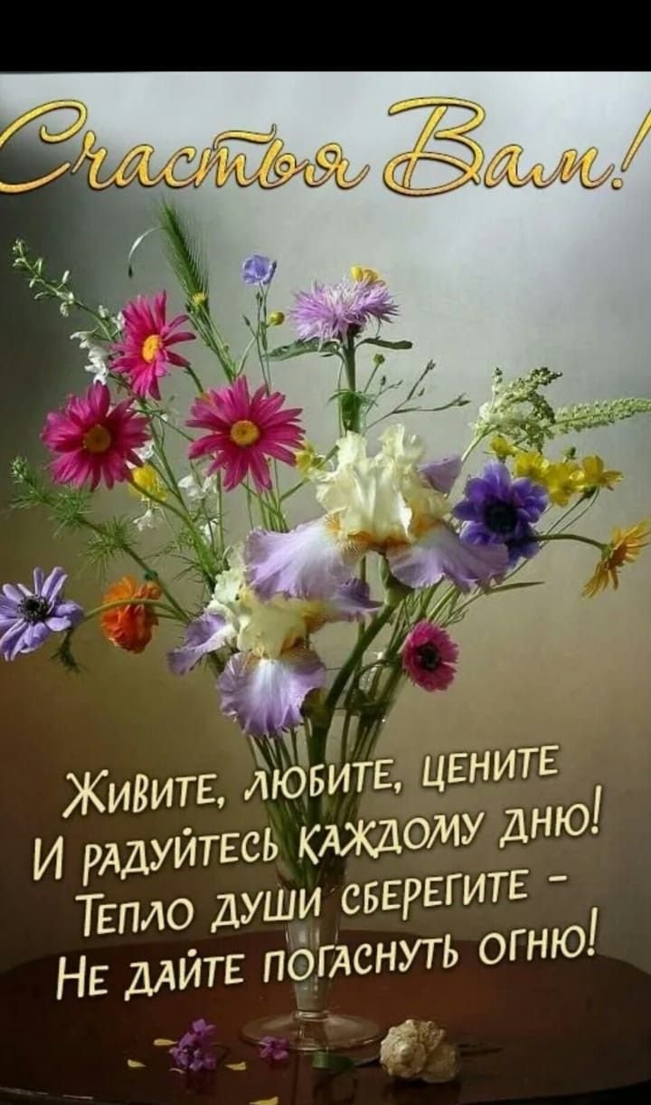 Поздравления на каждый день