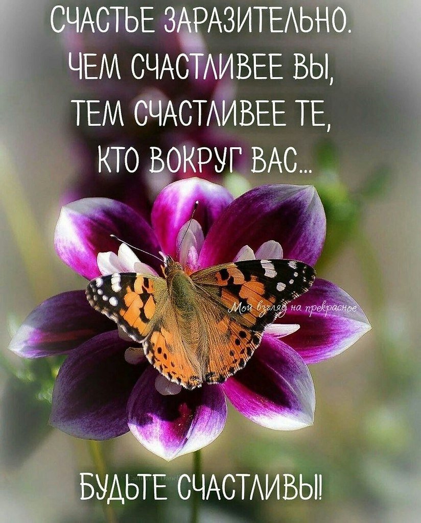 Жизненные пожелания с добрым утром