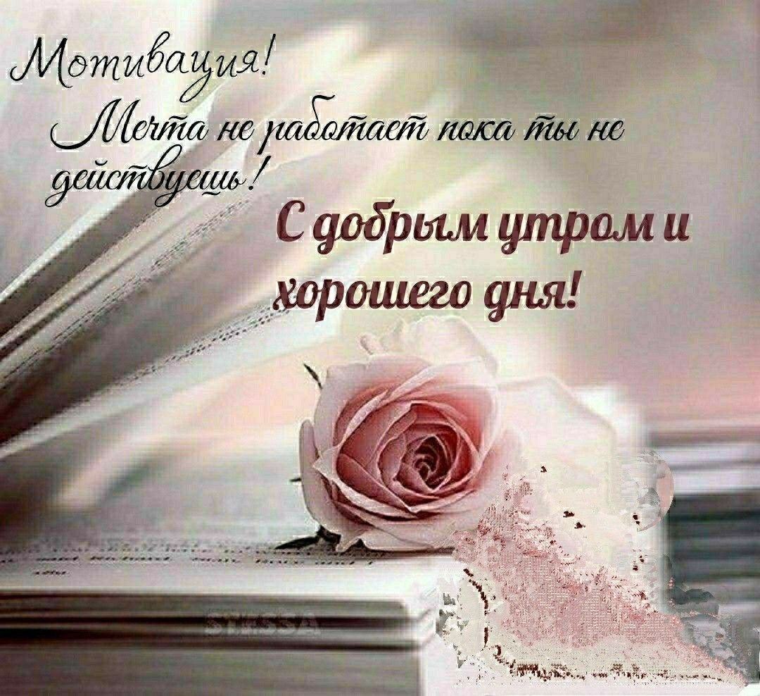 Мудрые высказывания с добрым утром
