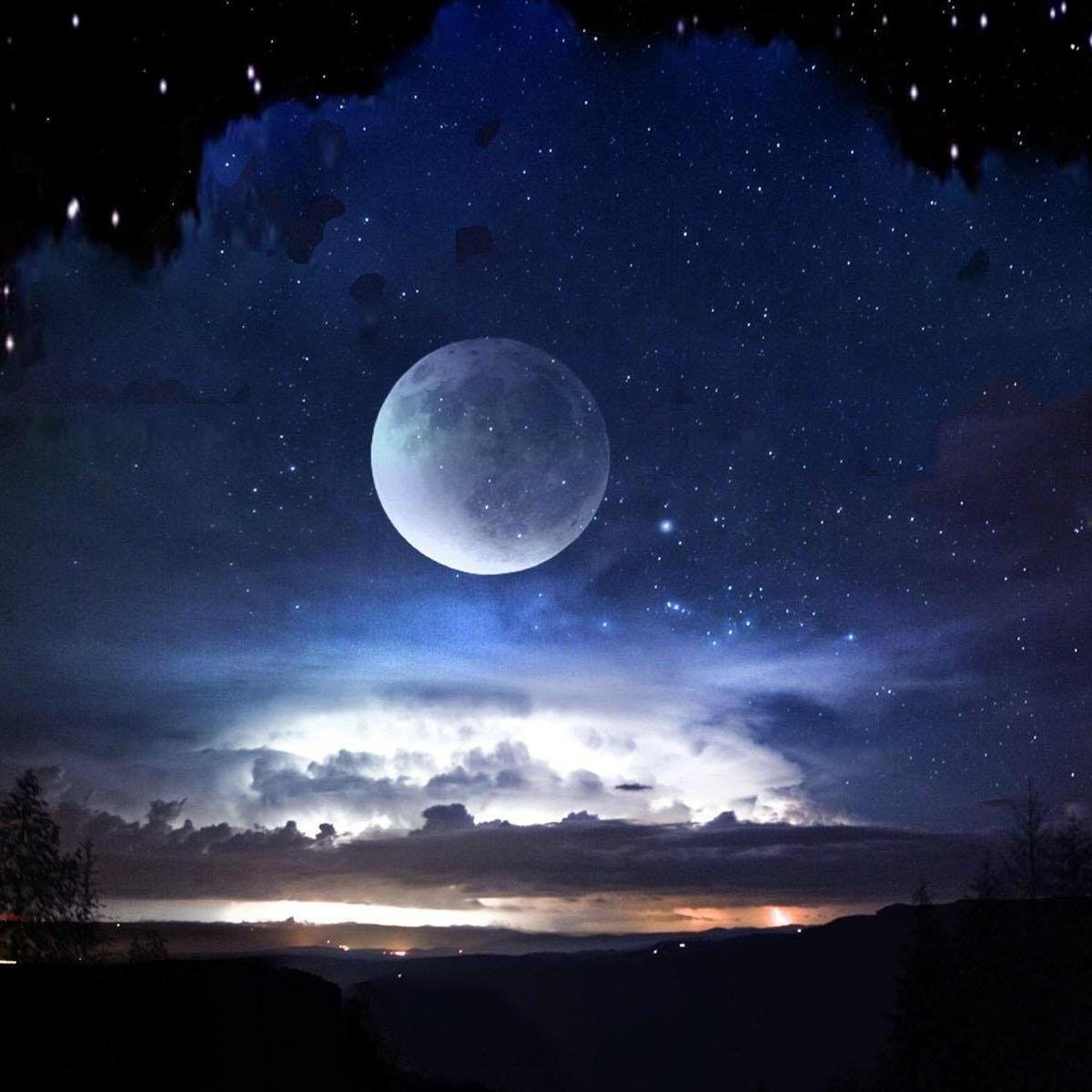 Ночное небо с луной и елями